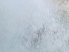-重庆海昌加勒比海水世界