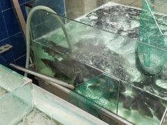 -大润发(东关世茂店)