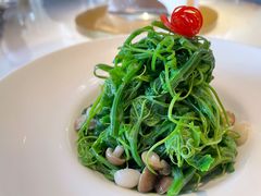 鸡油豌豆苗-粤界(望京金辉店)