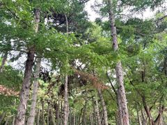 -长春市南湖公园