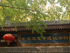 -大慈恩寺(大雁塔)