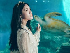 -广东惠东海龟国家级自然保护区