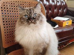 -剧狐剧本杀·月球探案馆(人民广场1号店)