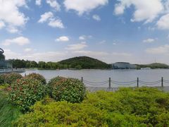 -上海月湖雕塑公园