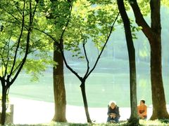 -天鹅湖体育公园