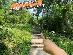 -老山国家森林公园