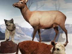 -陕西自然博物馆