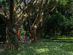 -人民公园(罗湖区)