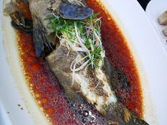 龙胆石斑-頂好酒家·经典粤菜(海信广场店)