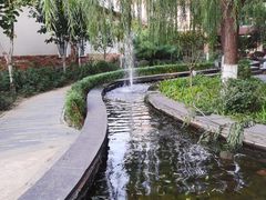 -南宫五洲植物乐园