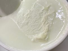-义顺牛奶公司(新马路老店)