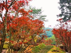 -广州市帽峰山景区