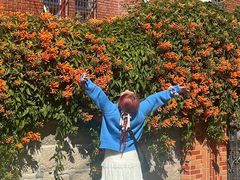 -溪岸路花鸟市场