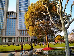 -复旦大学光华楼