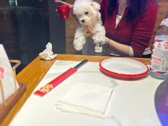 -玺炖·中国铁锅炖(虹桥天街店)