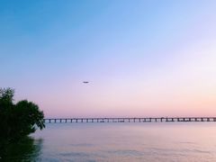 -宝安西湾红树林湿地公园