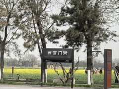 -汉长安城未央宫国家考古遗址公园