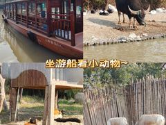 -上海野生动物园