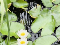 -东钱湖旅游度假区