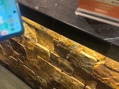 -牛New寿喜烧(金茂览秀城店)