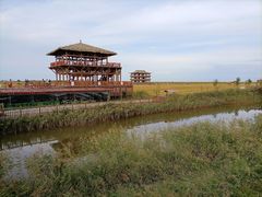 -红海滩国家风景廊道