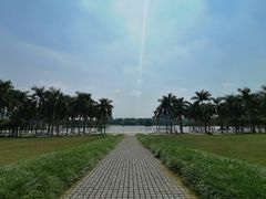 -南宁花花大世界景区