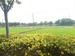 -嘉北郊野公园