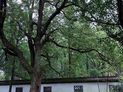 -西湖风景区十里琅珰-五云山