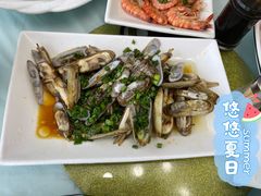 -金海湾海鲜排档(朱家尖店)