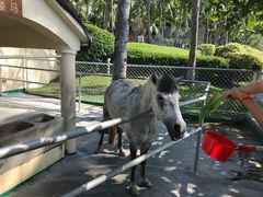 -三亚亚龙湾天域度假酒店