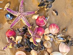 -日照灯塔风景区