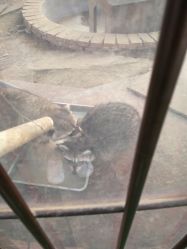 -萌宠亲子动物乐园(槐房万达店)