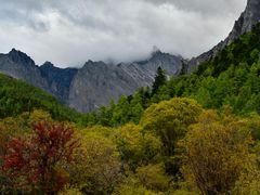 -稻城亚丁风景区-电瓶观光车售票处