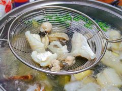 -金砂阿洲鱼册店
