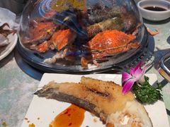-山海•蒸汽活海鲜自助(皇庭广场店)
