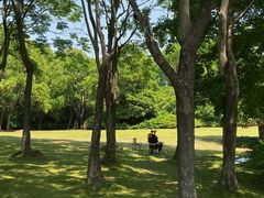 -宝界山林公园