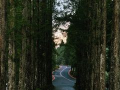 -井冈山风景名胜区