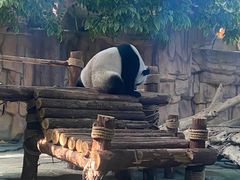 -泉州海丝野生动物世界