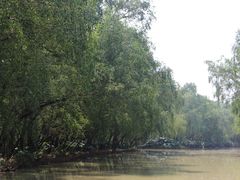 -大湾区中央湿地公园