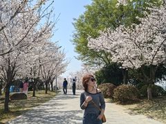 -幕燕滨江·燕子矶公园