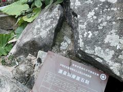 -南屏观音庙