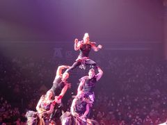 -珠海横琴长隆《卡卡虎奇遇记》