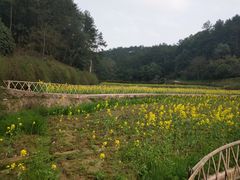 -韶山毛泽东同志故居