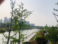 -江滩湿地公园