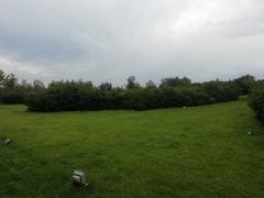-群力丁香公园