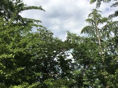 -阳台山自然风景区