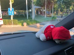 院内环境-九十九顶毡房(阜石路店)