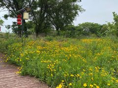 -呼吸森林·生态农庄农家乐私房菜