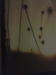 -时尚殿堂·颜SPA