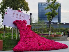 -春花秋色城市公园